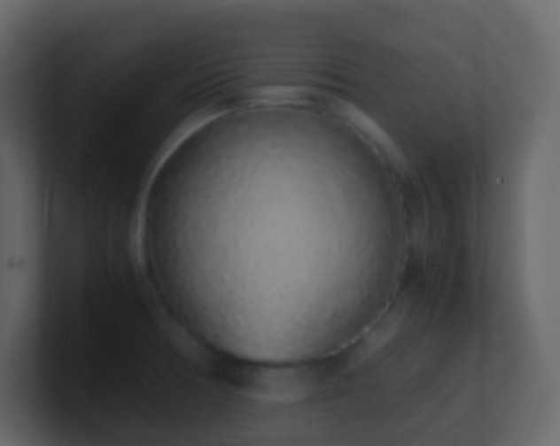 X0000101681378200807101412