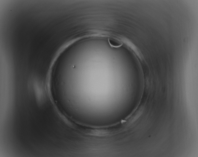 X0000101681379200807101412