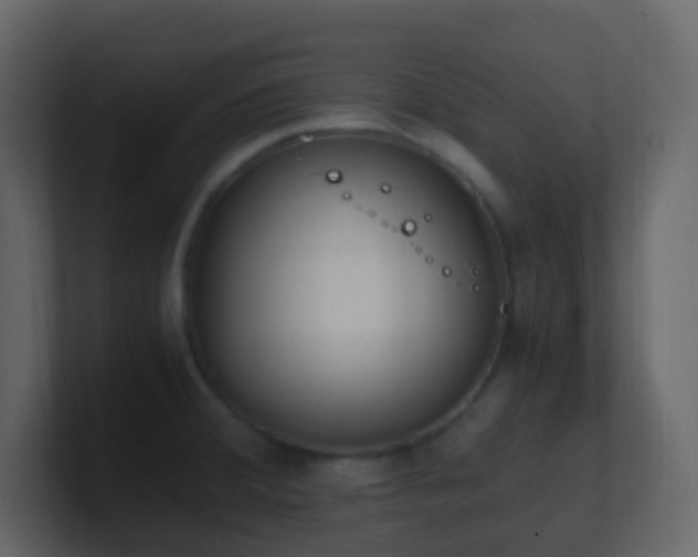 X0000101681380200807101412