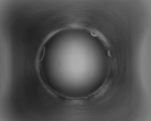 X0000101681381200807101412