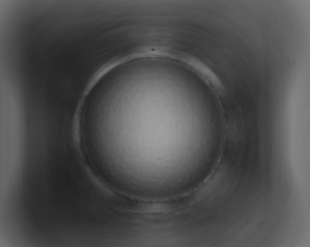 X0000101681382200807101412