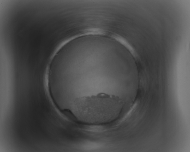 X0000101681383200807101412