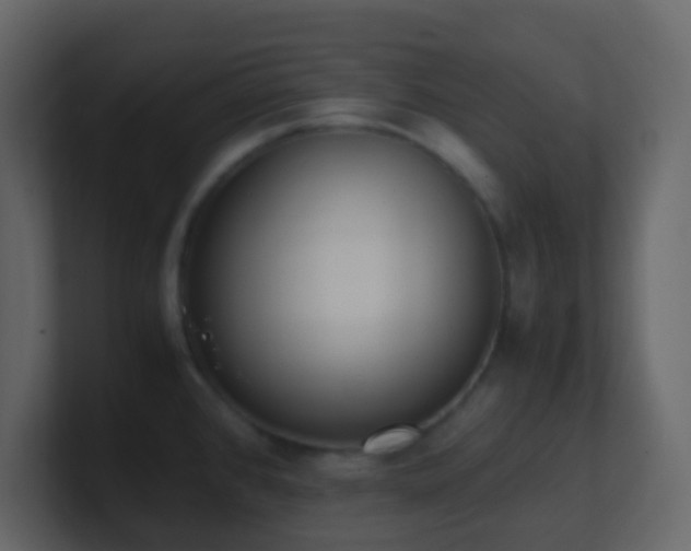 X0000101681384200807101412