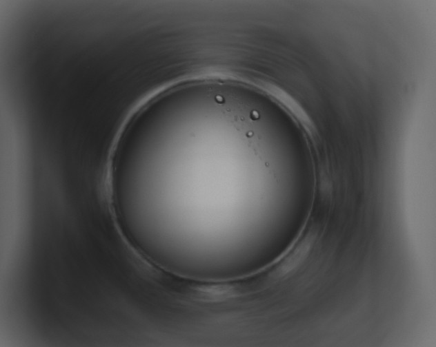 X0000101681388200807101412