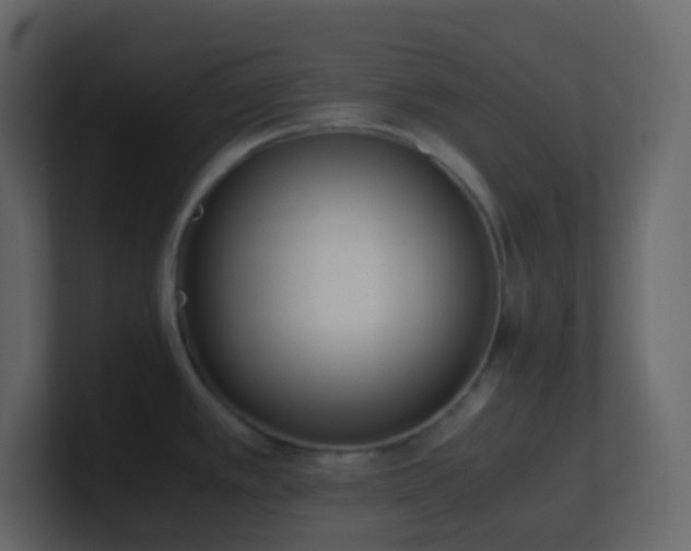 X0000101681389200807101412