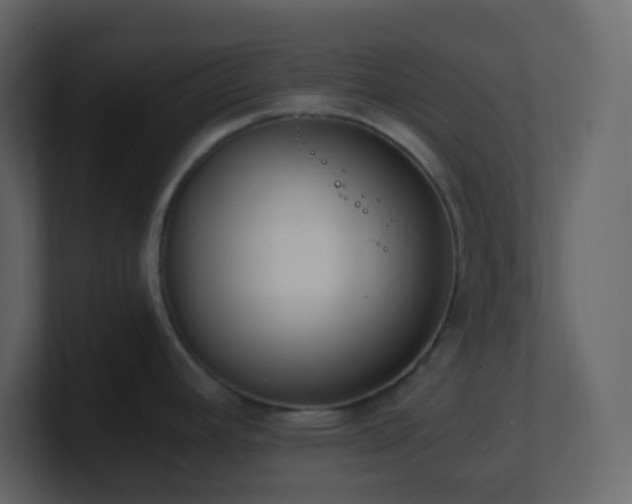 X0000101681392200807101412