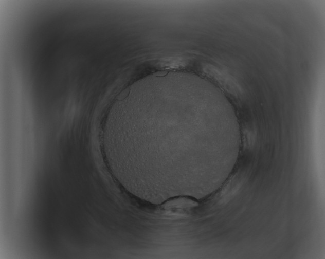 X0000101681393200807101411