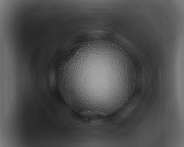 X0000101681394200807101411