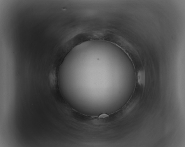 X0000101681395200807101411