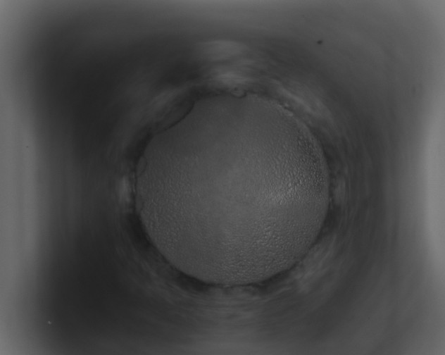 X0000101681397200807101411