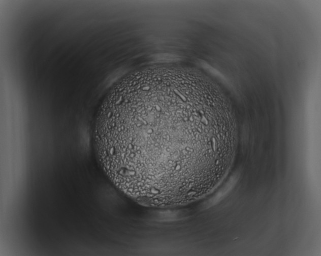 X0000101681401200807101412