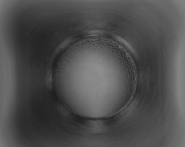 X0000101681403200807101412