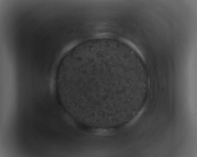 X0000101681405200807101412