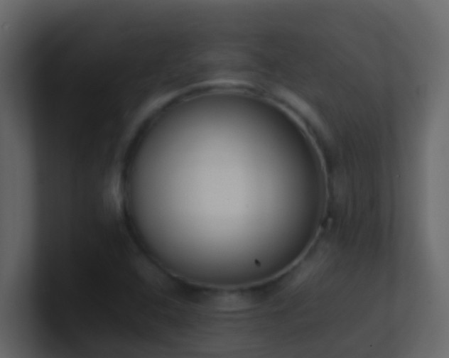 X0000101681408200807101412