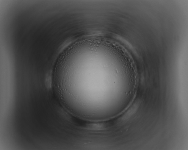 X0000101681409200807101412