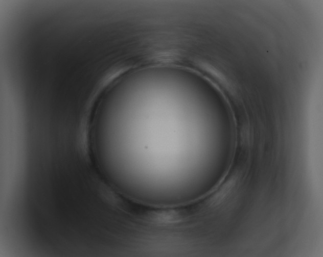 X0000101681410200807101412