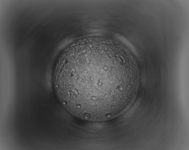 X0000101681411200807101412