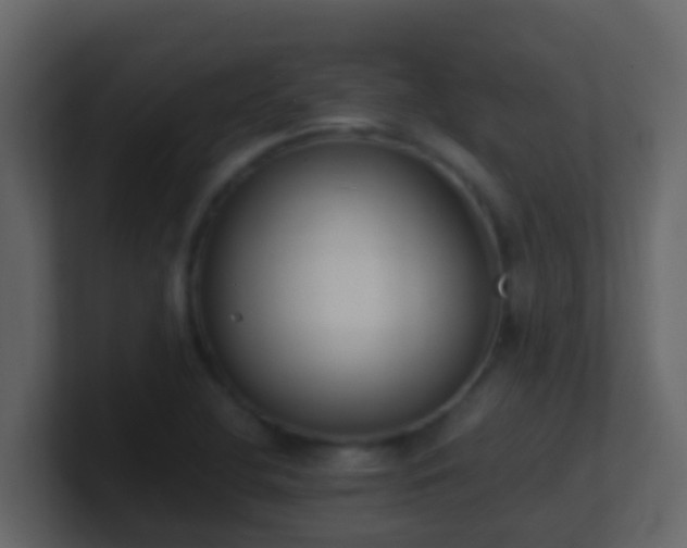 X0000101681412200807101412