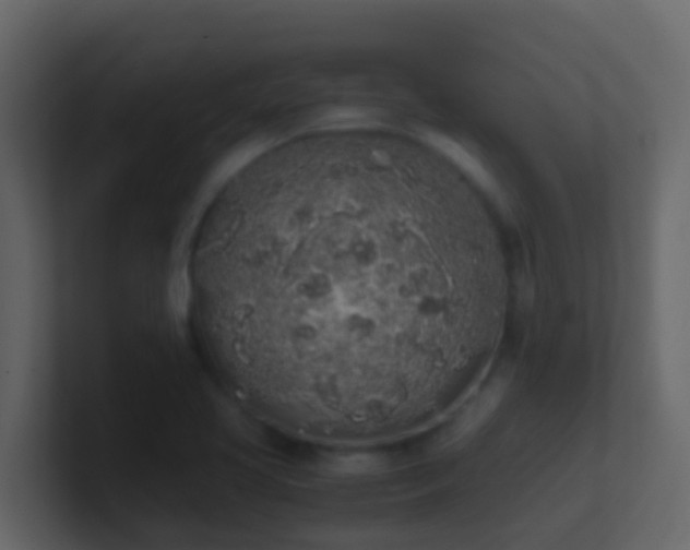 X0000101681413200807101412