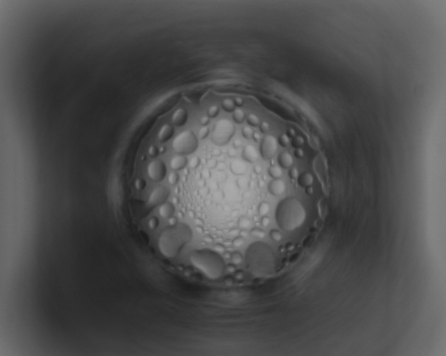 X0000101681415200807101412