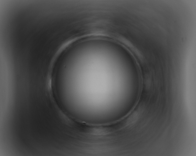 X0000101681416200807101412