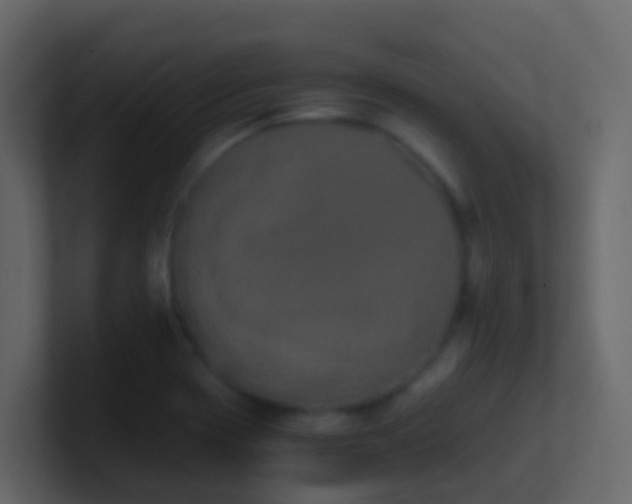 X0000101681417200807101412