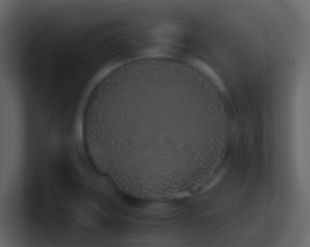 X0000101681419200807101412