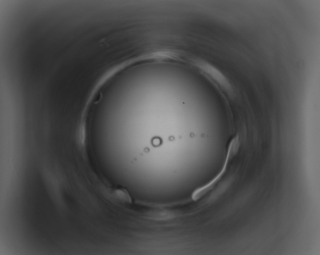 X0000101681420200807101412