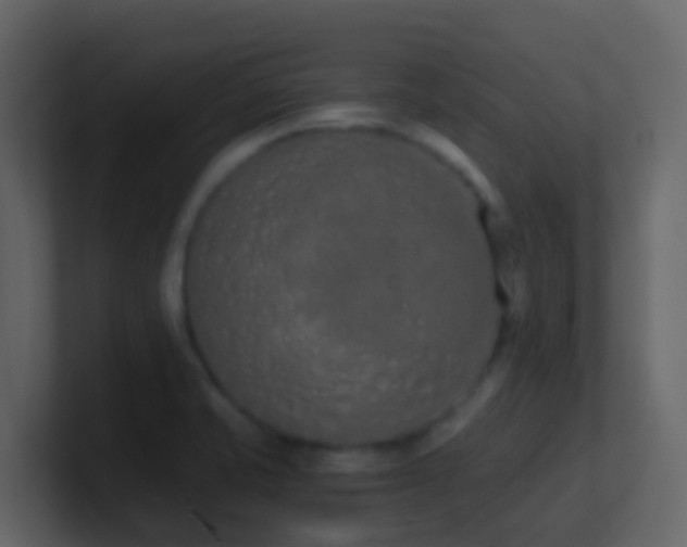 X0000101681421200807101412