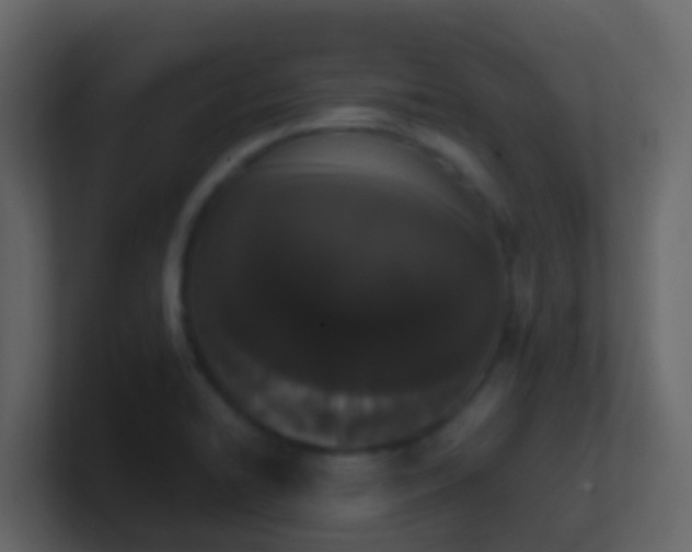 X0000101681422200807101412