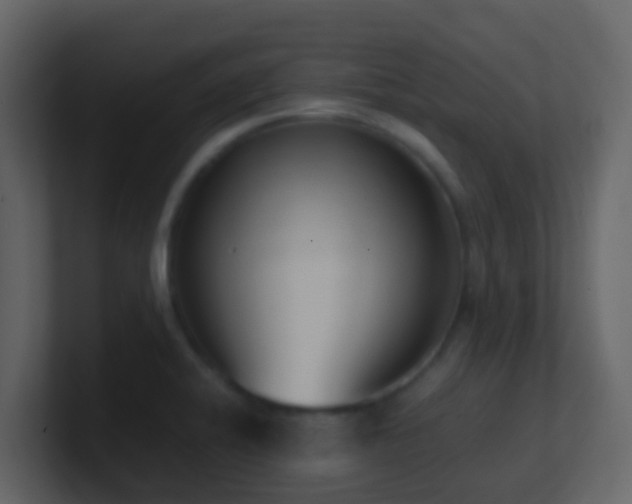 X0000101681424200807101412