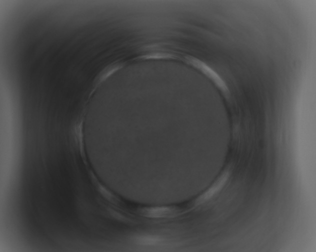 X0000101681425200807101412