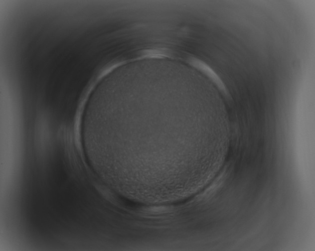 X0000101681427200807101412