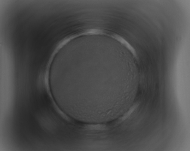 X0000101681429200807101412