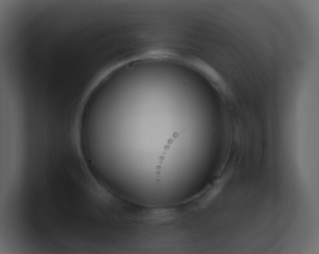 X0000101681430200807101412