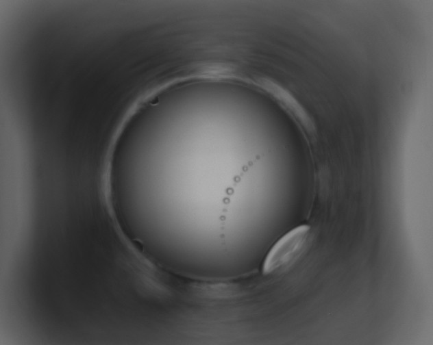 X0000101681432200807101412