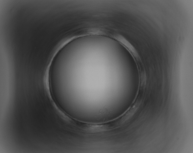 X0000101681439200807101412