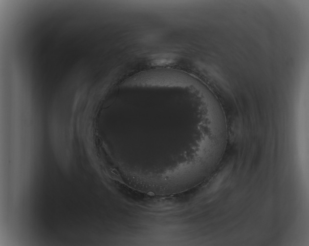 X0000101681441200807101411