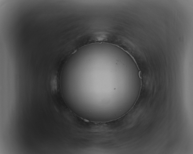 X0000101681442200807101411