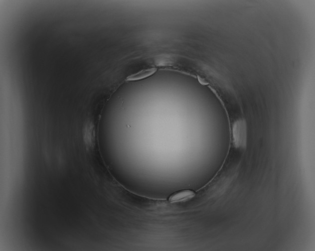 X0000101681443200807101411