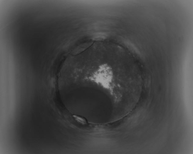 X0000101681445200807101411