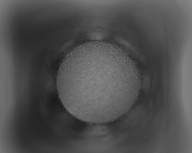 X0000101681446200807101411