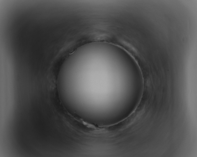 X0000101681447200807101411