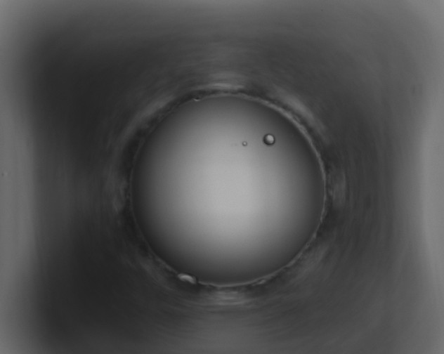 X0000101681448200807101411