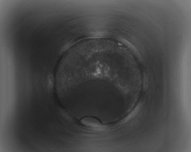 X0000101681449200807101411