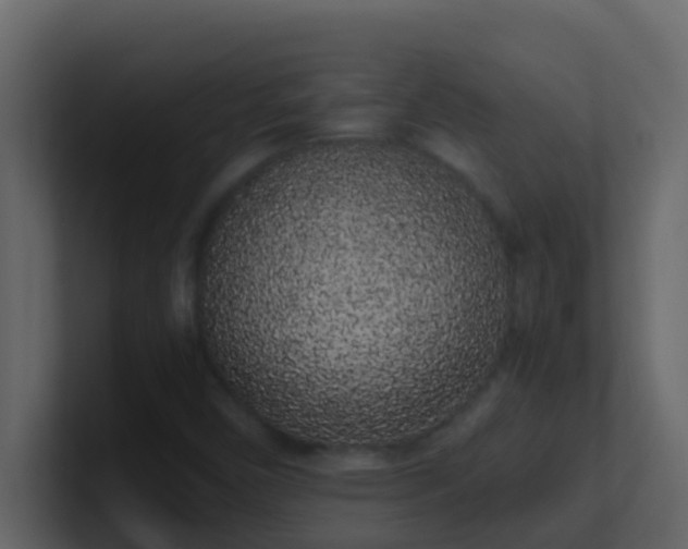 X0000101681450200807101411