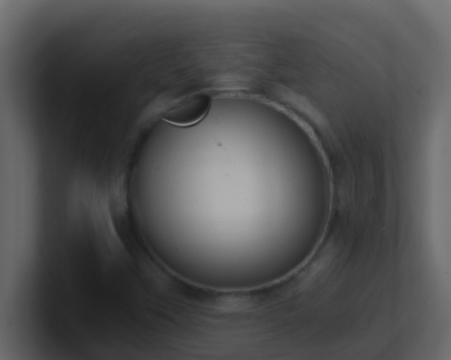 X0000101681451200807101411