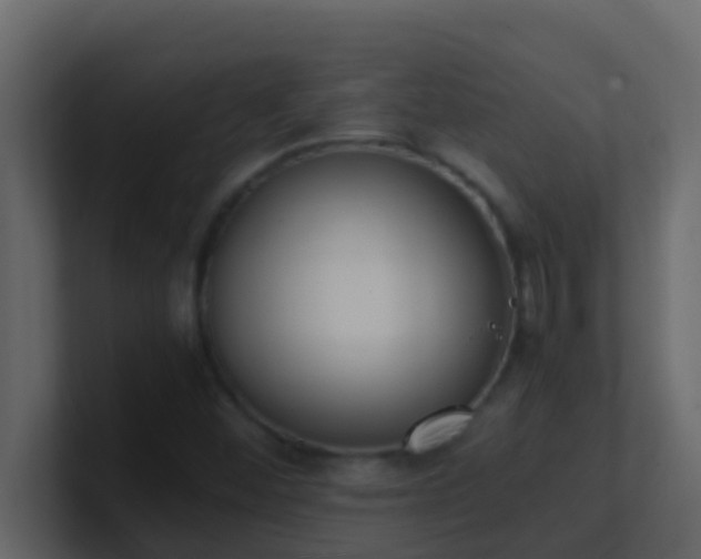 X0000101681452200807101411