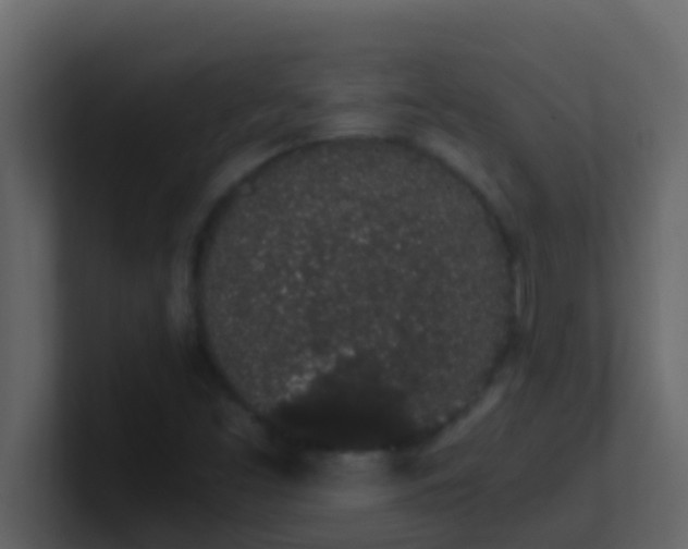 X0000101681453200807101411