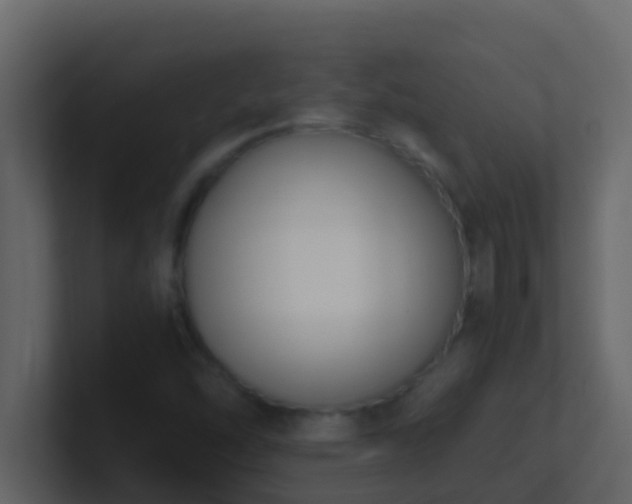 X0000101681454200807101411